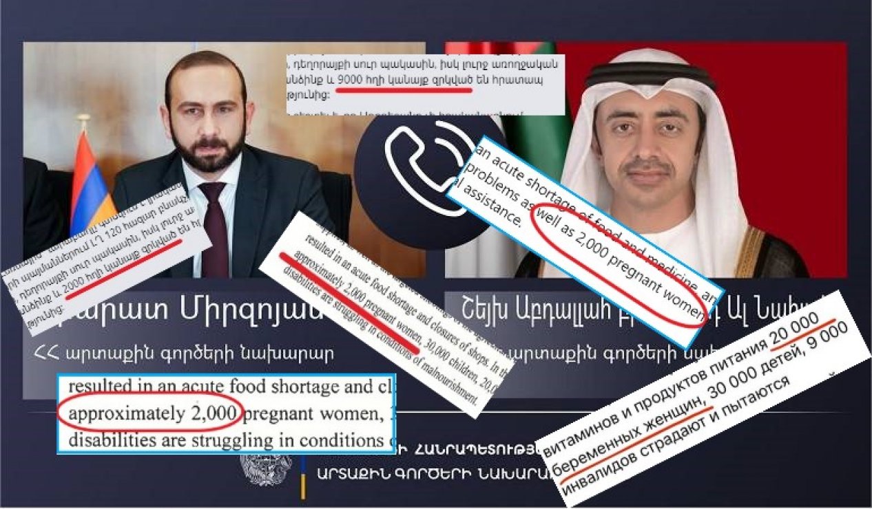 Ermənistan XİN başçısının Qarabağ iqtisadi rayonunda məskunlaşan erməniəsilli hamilə qadınların sayı ilə manipulyasiyasına dair