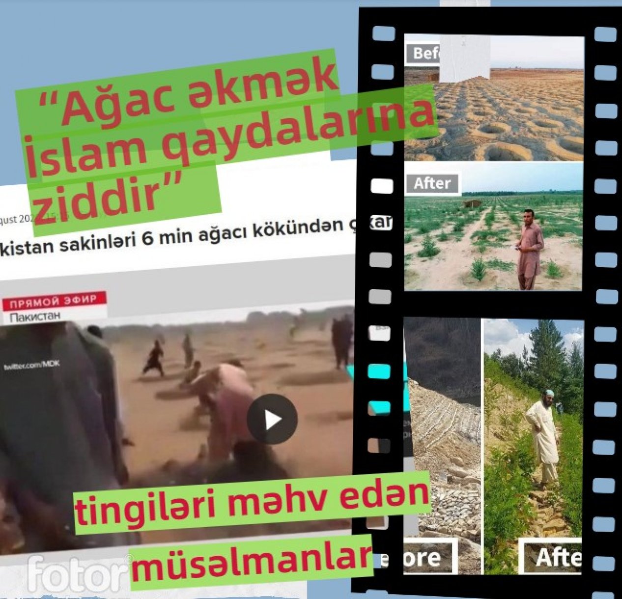 “Ağac əkmək İslam qaydalarına ziddir” deyib tingləri məhv edən müsəlmanlar