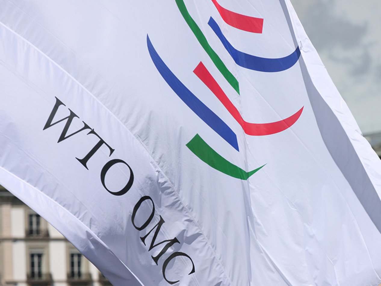 Why is Azerbaijan reluctant in joining WTO?