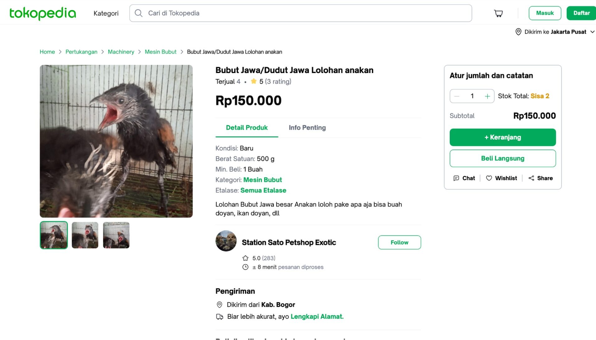Screenshot of Station Sato Exotic’s Tokopedia page promoting the sale of a vulnerable cuckoo species. The page reports that four birds have already been sold.