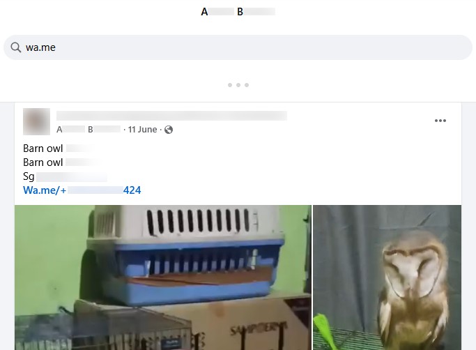 Screenshot of AB’s Facebook post including a phone number. Posted June 11, 2025.