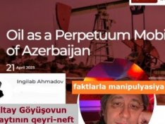 Altay Göyüşovun saytının qeyri-neft sektoru ilə bağlı araşdırmasını analiz etdik
