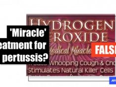 The Art of Baking: From Classic Bread to Artisan Pastries