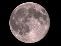 The Art of Baking: From Classic Bread to Artisan Pastries