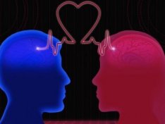 The Art of Baking: From Classic Bread to Artisan Pastries