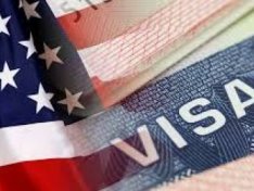 The Art of Baking: From Classic Bread to Artisan Pastries