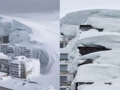 The Art of Baking: From Classic Bread to Artisan Pastries