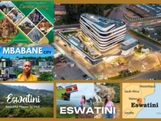 The Art of Baking: From Classic Bread to Artisan Pastries