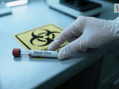 The Art of Baking: From Classic Bread to Artisan Pastries