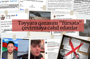 Təyyarə qəzasını "fürsətə" çevirməyə cəhd edənlər