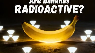 Is it true that all bananas are radioactive?