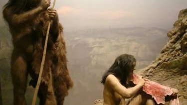 Правда ли, что человек унаследовал ген рыжих волос от неандертальцев?
