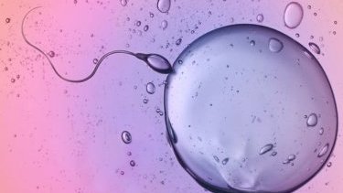 Covid infeksiyası kişilərdə spermanın səviyyəsinə mənfi təsir edir