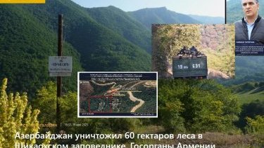 Erməni mətbuatının “Azərbaycanı meşələrin qırılmasında” ittiham etməsi ilə bağlı manipulyasiyası nəyə hesablanıb?