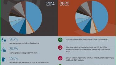 Altay Göyüşovun təşkilatı: Devalvasiyadan sonra əhalinin gəlirləri kəskin şəkildə azalıb