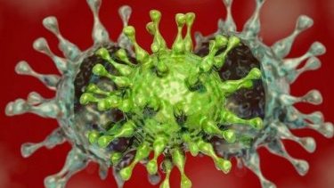 Adil Geybulla: Delta variant of COVID is highly infectious, lethal