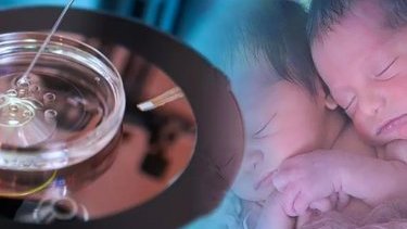 В Китае создали «ГМО-детей»? Реальны ли они и их создатель