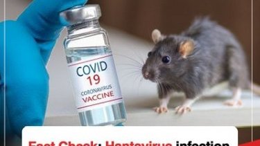 Fact Check: Hantavirus infection is not a confirmed side effect of Pfizer’s COVID-19 vaccine