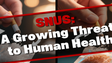 Snus: A Growing Threat to Human Health