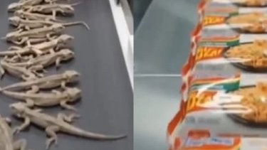 Kərtənkələlərdən əriştə hazırlandığını göstərən video gerçəkdirmi?