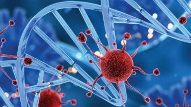 Covid vaccines have not been shown to cause ‘turbo cancer’