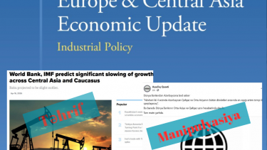 Cənubi Qafqazın iqtisadi proqnozları: Manipulyasiya və reallıq