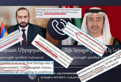 Armenian FM manipulating number of pregnant women of Armenian origin living in Karabakh economic region