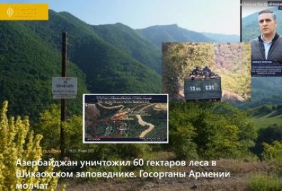 Erməni mətbuatının “Azərbaycanı meşələrin qırılmasında” ittiham etməsi ilə bağlı manipulyasiyası nəyə hesablanıb?