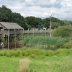 Fake image of wildlife park tiger attack circulates online