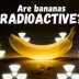 Is it true that all bananas are radioactive?