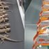 Kertenkelelerden noodle yapıldığı gösteren video gerçek mi?