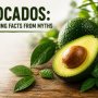 Avocados: Separating Facts from Myths